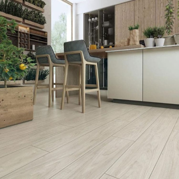 KRONOPOL TESTA OLMO BARUC D3710